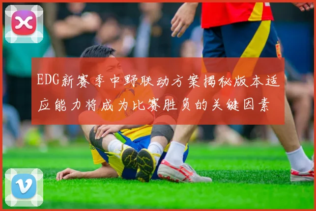 EDG新赛季中野联动方案揭秘版本适应能力将成为比赛胜负的关键因素